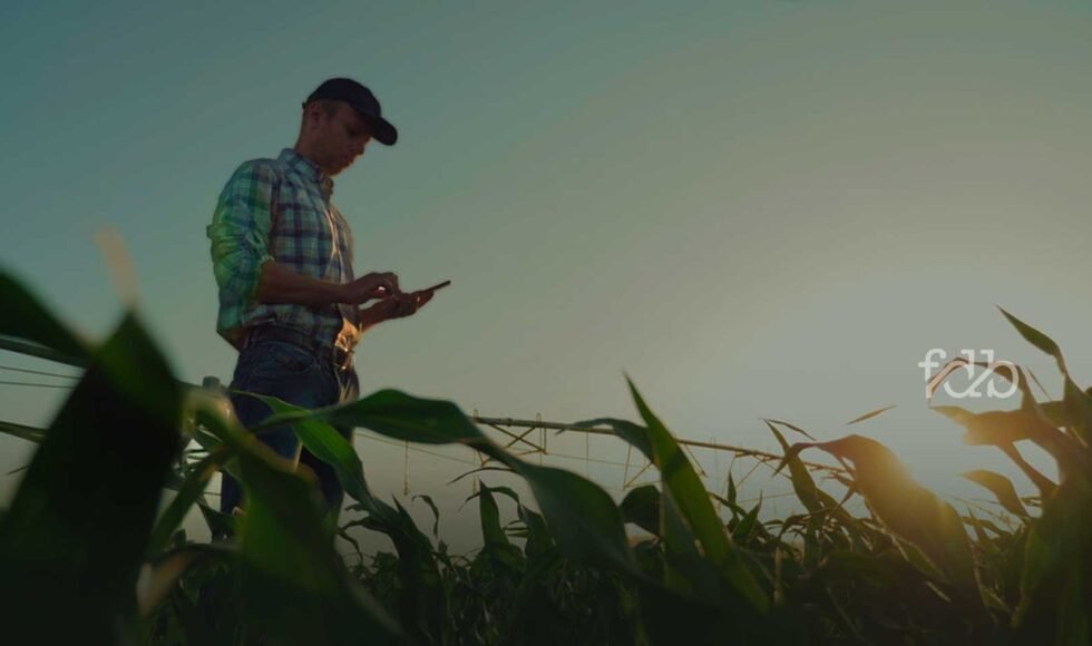 A Prescrição da Cédula de Crédito Rural: Uma Análise Jurídica Abrangente