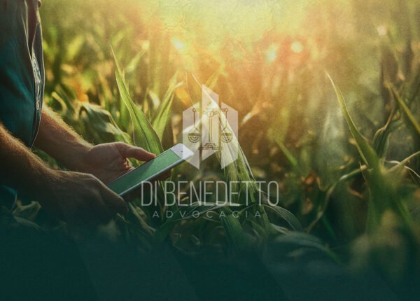 IMG_BLOG_FDB-08-09-2025