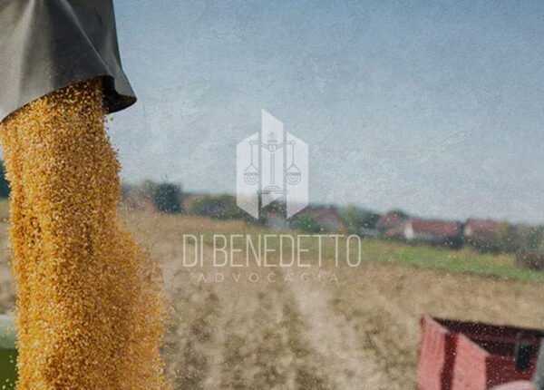 IMG_BLOG_FDB-26-09-2025