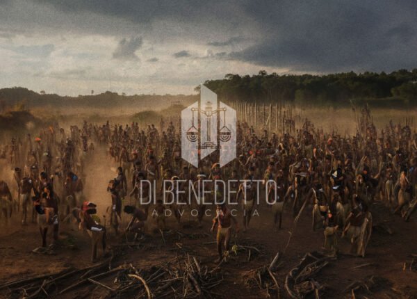 IMG_BLOG_FDB-31-10-2025